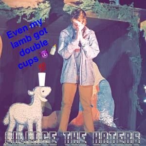 Meet your Posher, Dominik